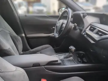 UX 250 h