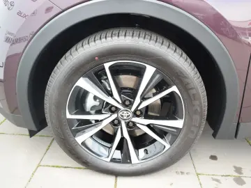 C-HR Plug-In Hybrid FWD Team Deutschland