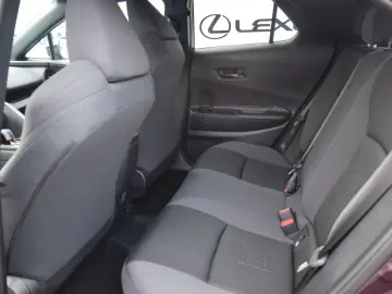 C-HR Plug-In Hybrid FWD Team Deutschland