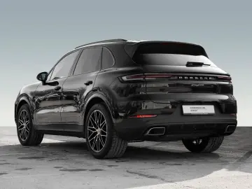 Cayenne Panorama Dachsystem 21 Zoll 90l Tank