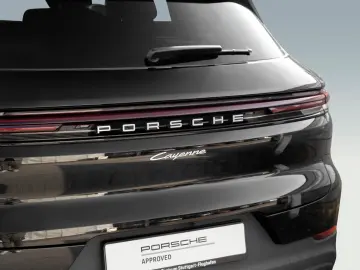 Cayenne Panorama Dachsystem 21 Zoll 90l Tank
