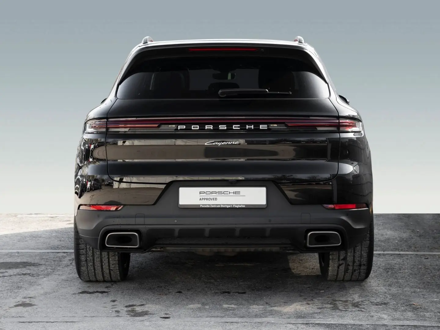 Cayenne Panorama Dachsystem 21 Zoll 90l Tank