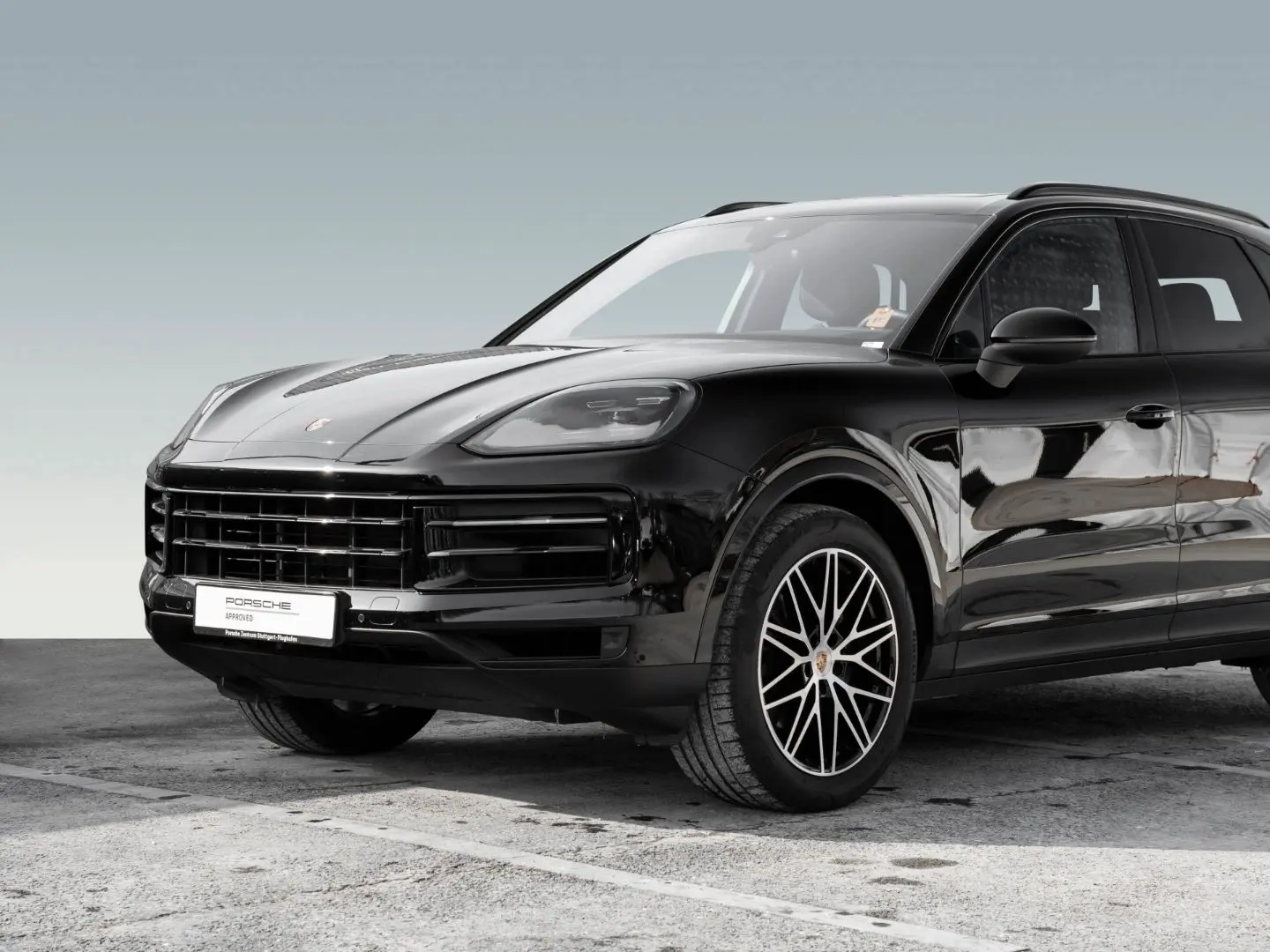 Cayenne Panorama Dachsystem 21 Zoll 90l Tank