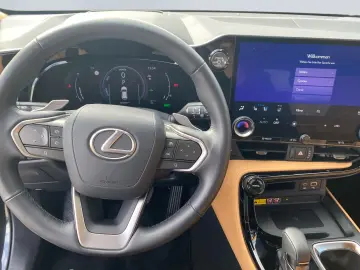 NX 350h Executive Line*HuD*PANO*NAVI*360°*KLIMA