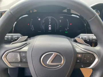 NX 350h Executive Line*HuD*PANO*NAVI*360°*KLIMA