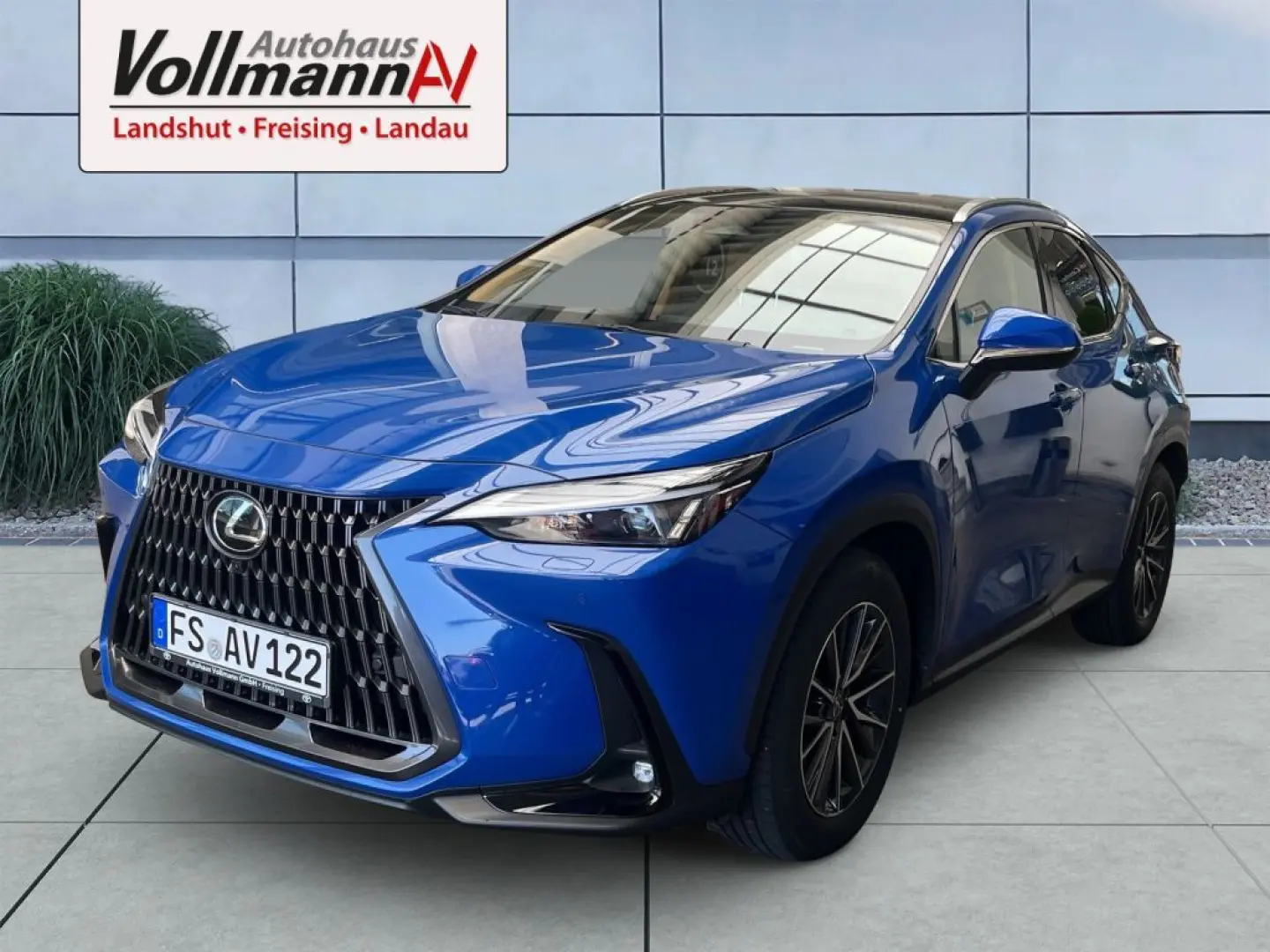 NX 350h Executive Line
