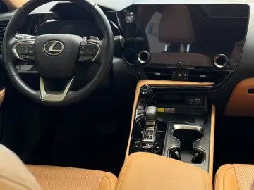 NX 350h Executive Line