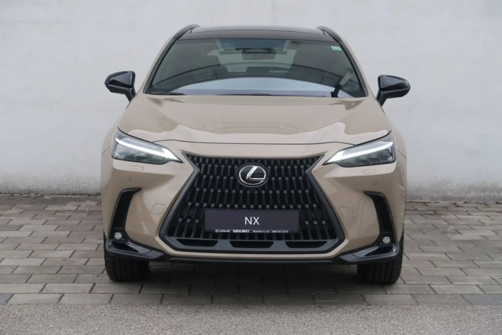NX 350h E-FOUR Overtrail + Panoramaglasdach