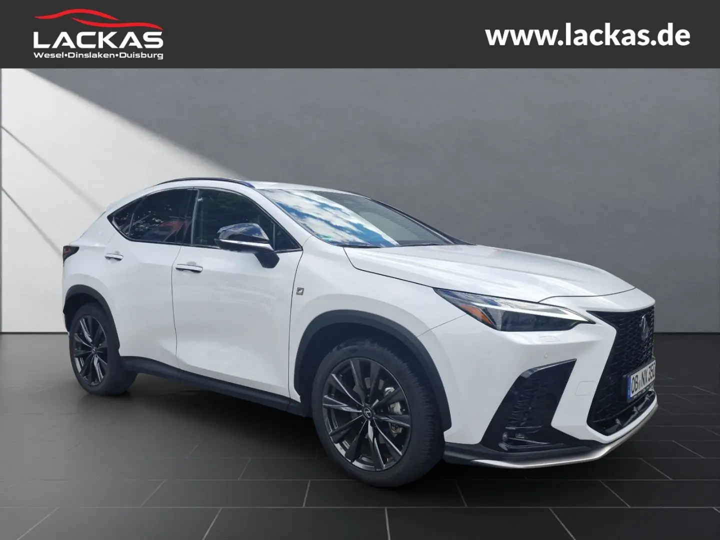 NX 350h E-Four F-Sport*AHK*Mark-Levinson*15 Jahr