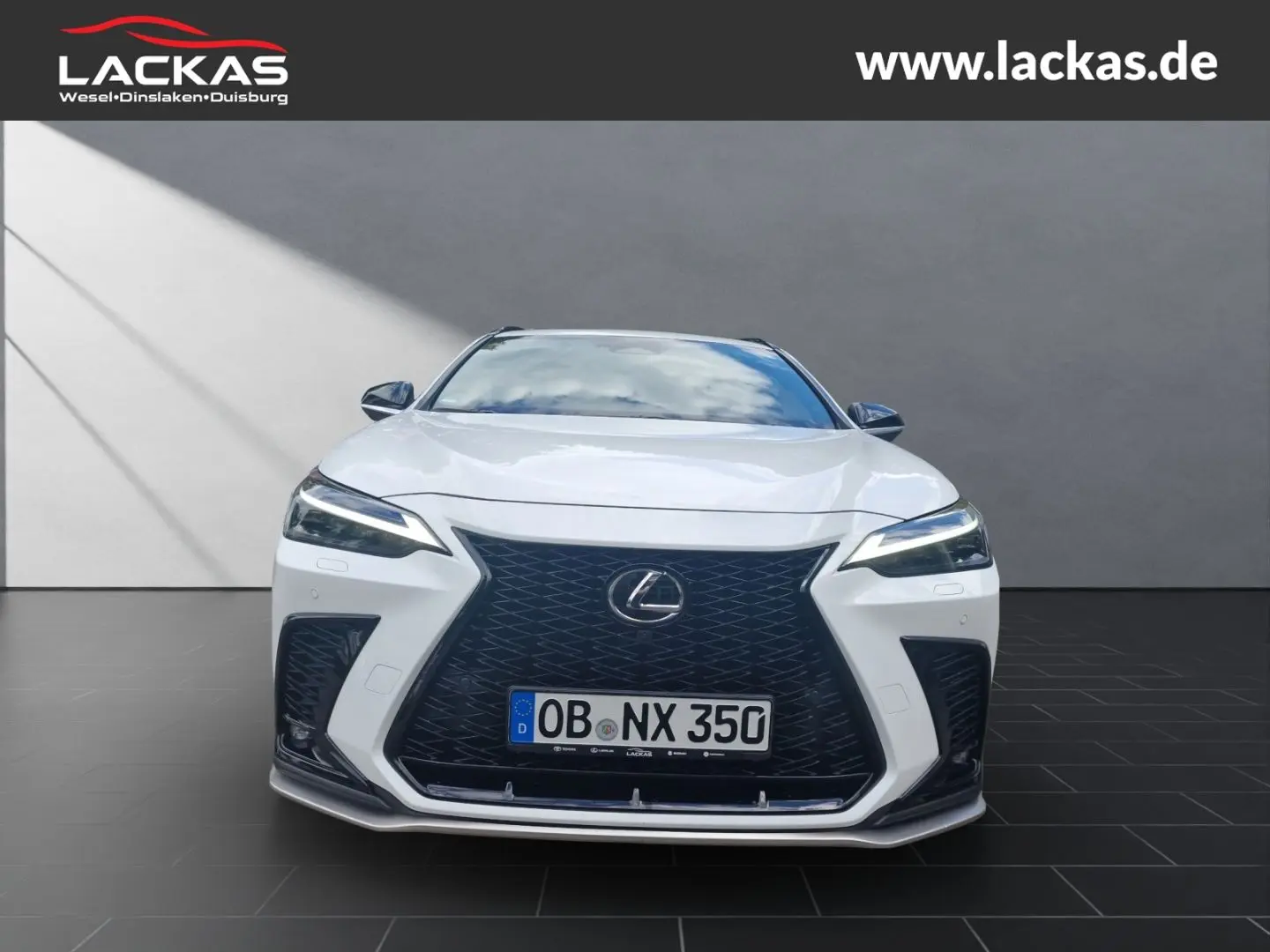 NX 350h E-Four F-Sport*AHK*Mark-Levinson*15 Jahr