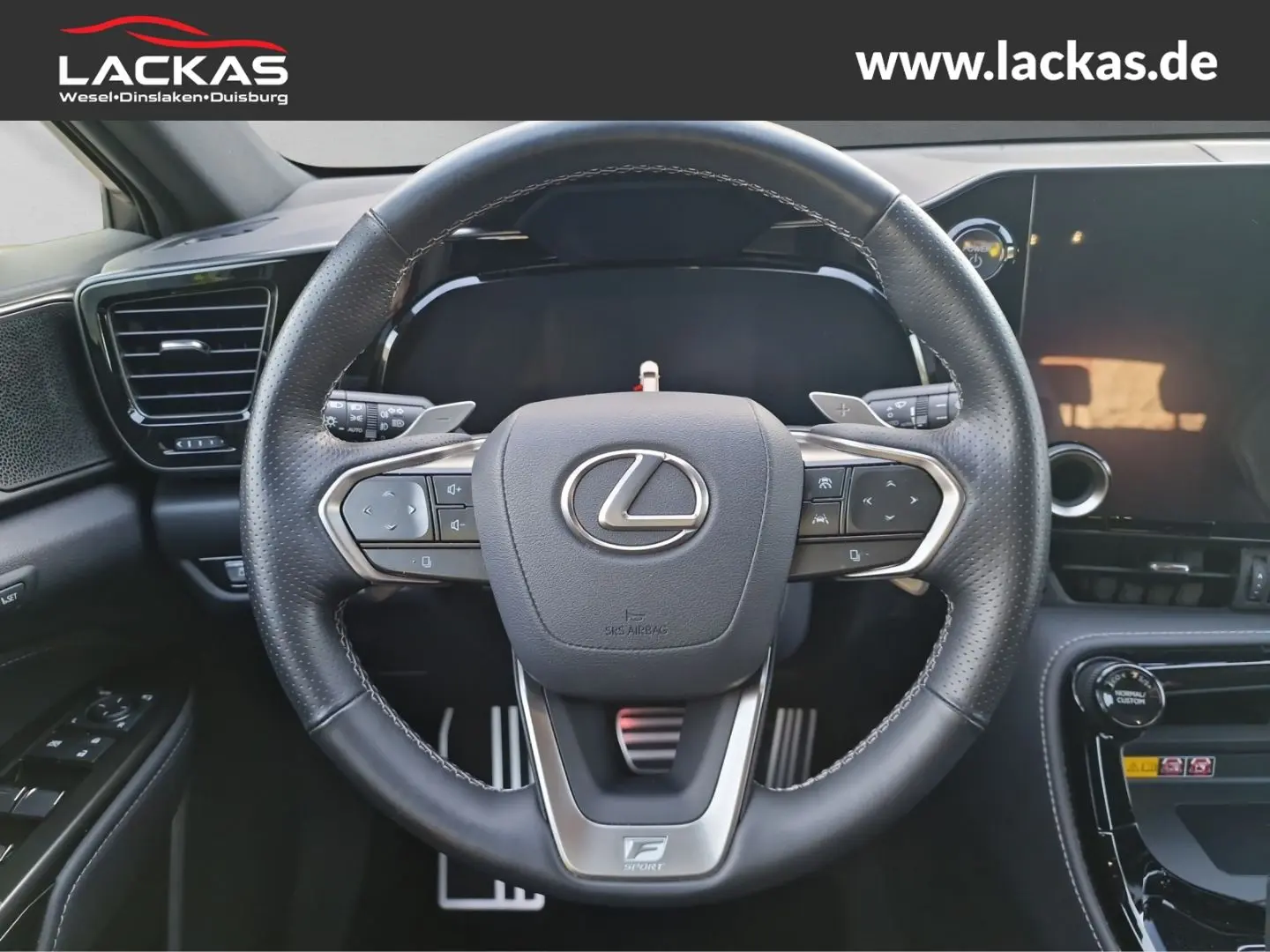 NX 350h E-Four F-Sport*AHK*Mark-Levinson*15 Jahr