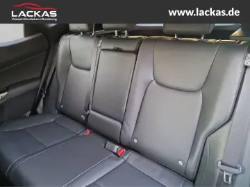 NX 350h E-Four F-Sport*AHK*Mark-Levinson*15 Jahr