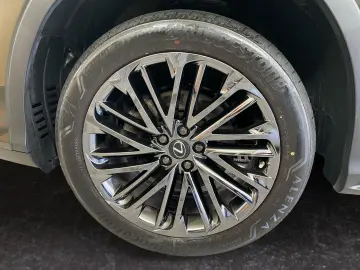RX 450h (hybrid) *Sport Edition*LED*Allrad*Leder