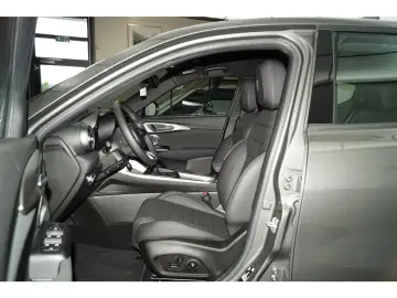 Tonale 1.6 Ti FULL LEDER FULL LED Harman-Kardon