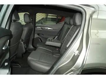 Tonale 1.6 Ti FULL LEDER FULL LED Harman-Kardon