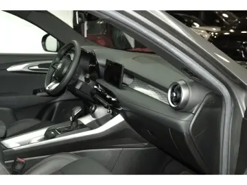 Tonale 1.6 Ti FULL LEDER FULL LED Harman-Kardon