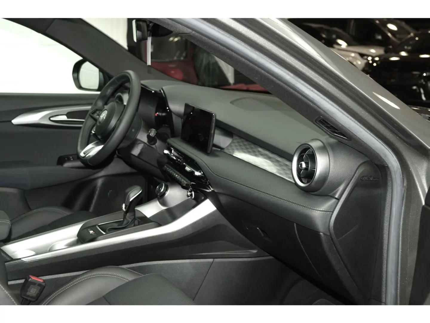 Tonale 1.6 Ti FULL LEDER FULL LED Harman-Kardon