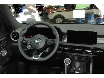 Tonale 1.6 Ti FULL LEDER FULL LED Harman-Kardon