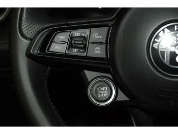 Tonale 1.6 Ti FULL LEDER FULL LED Harman-Kardon