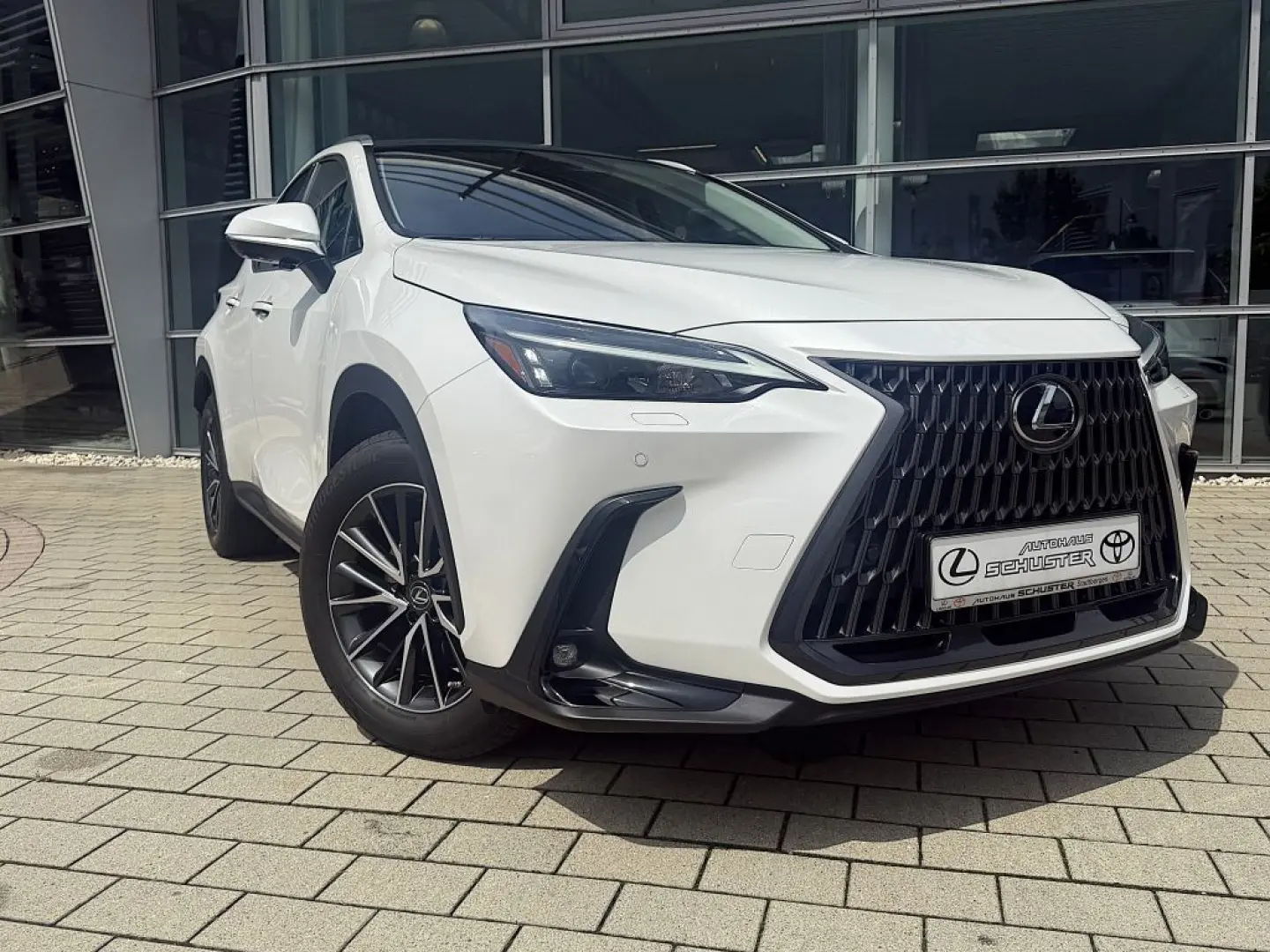 NX 350h Executive Line
