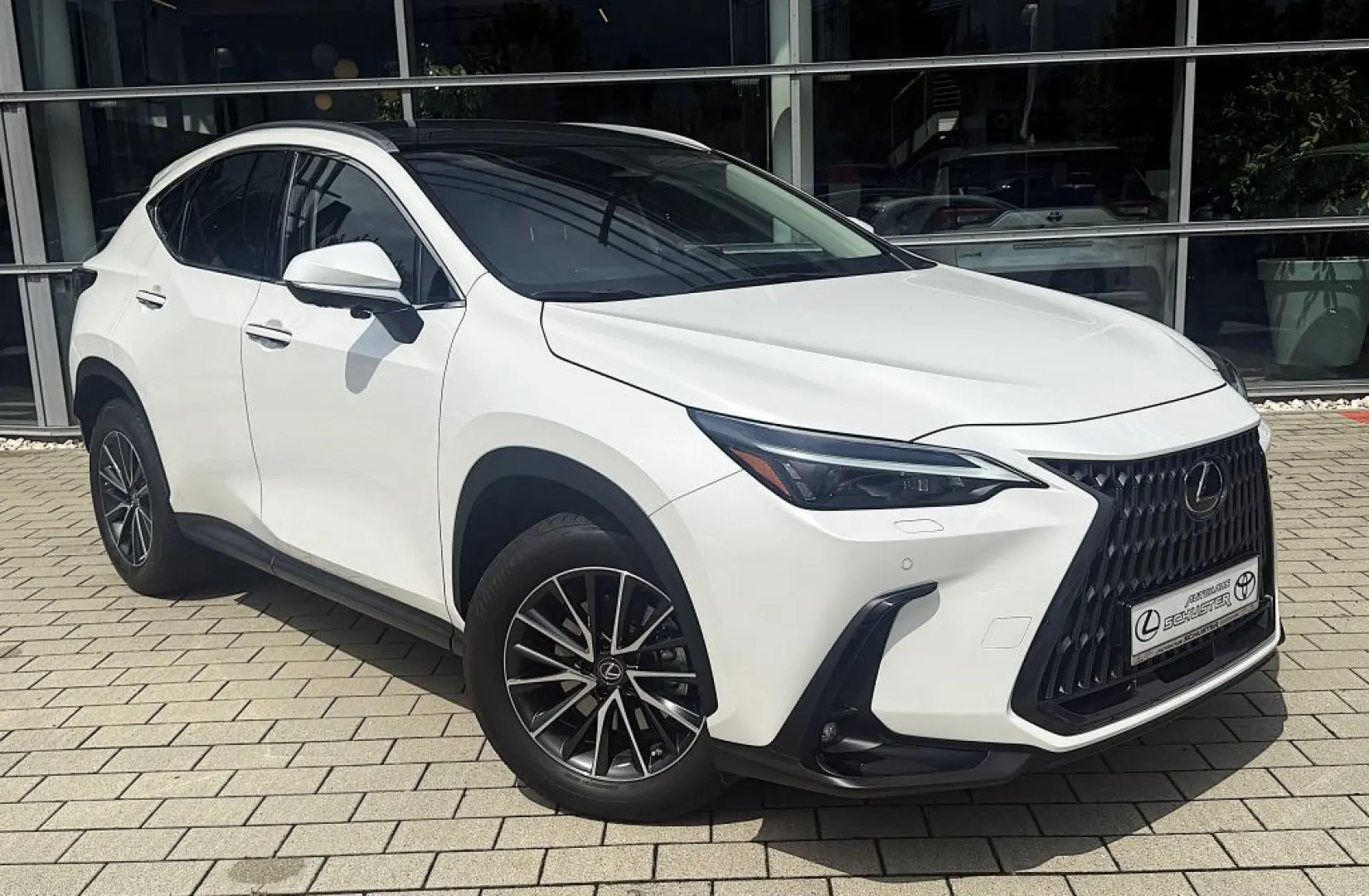 NX 350h Executive Line