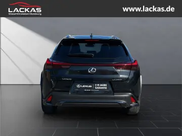 UX 250h F-SPORT DESIGN*CARPLAY*SHZ*15.JAHRE GARA