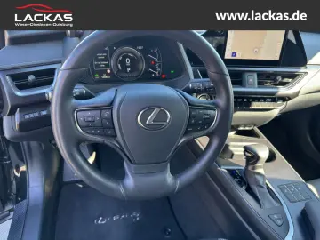 UX 250h F-SPORT DESIGN*CARPLAY*SHZ*15.JAHRE GARA