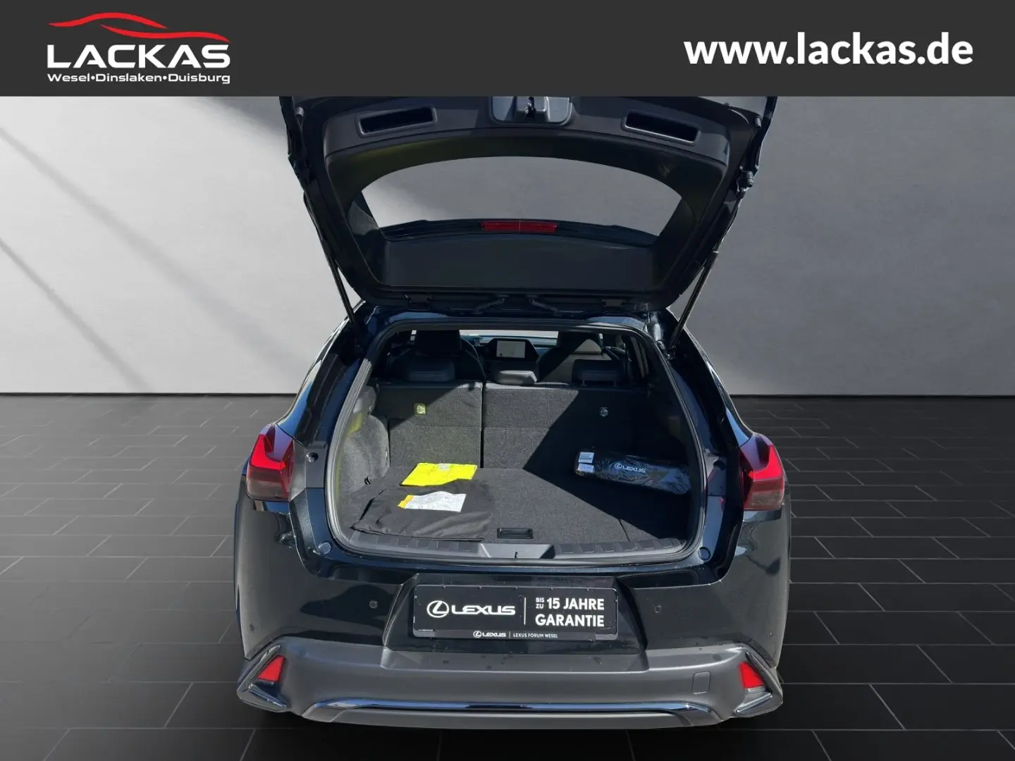 UX 250h F-SPORT DESIGN*CARPLAY*SHZ*15.JAHRE GARA