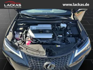 UX 250h F-SPORT DESIGN*CARPLAY*SHZ*15.JAHRE GARA