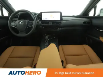 UX-Serie UX 300h F Sport Design Aut.*NAVI*ACC*