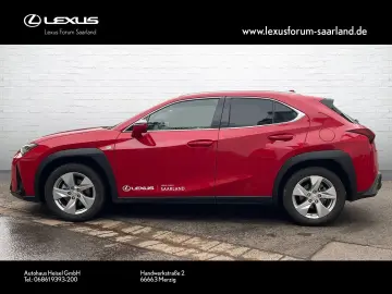 UX 300 h F Sport Design