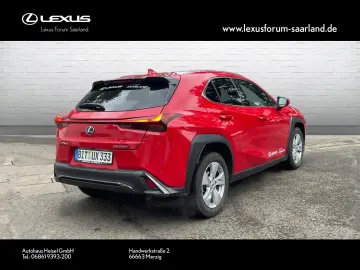 UX 300 h F Sport Design
