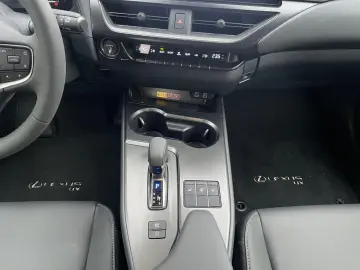 UX 300 h F Sport Design
