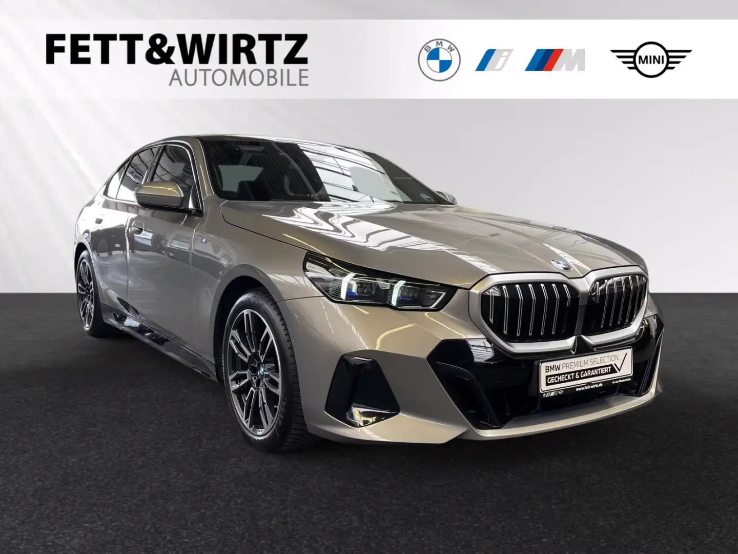 BMW 520i M Sport|Pano|Standhzg.|DA&PA+|H/K