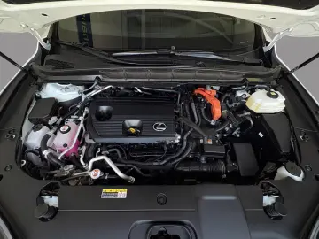 Lexus RX 450 h+ F Sport Head-Up ACC Pano