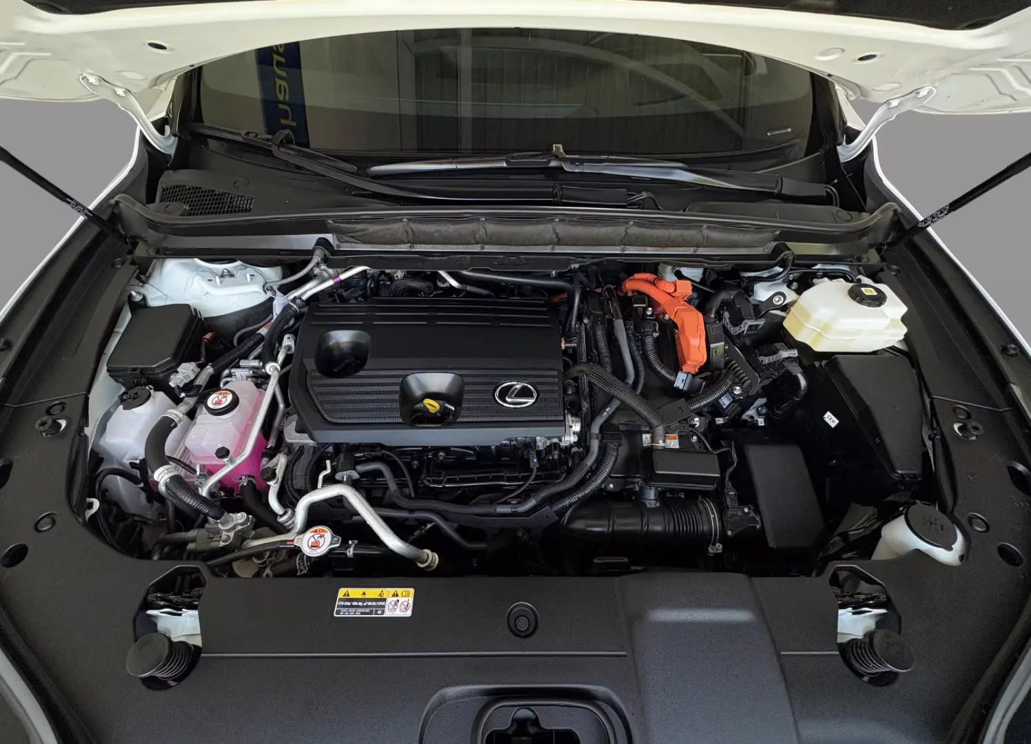 Lexus RX 450 h+ F Sport Head-Up ACC Pano