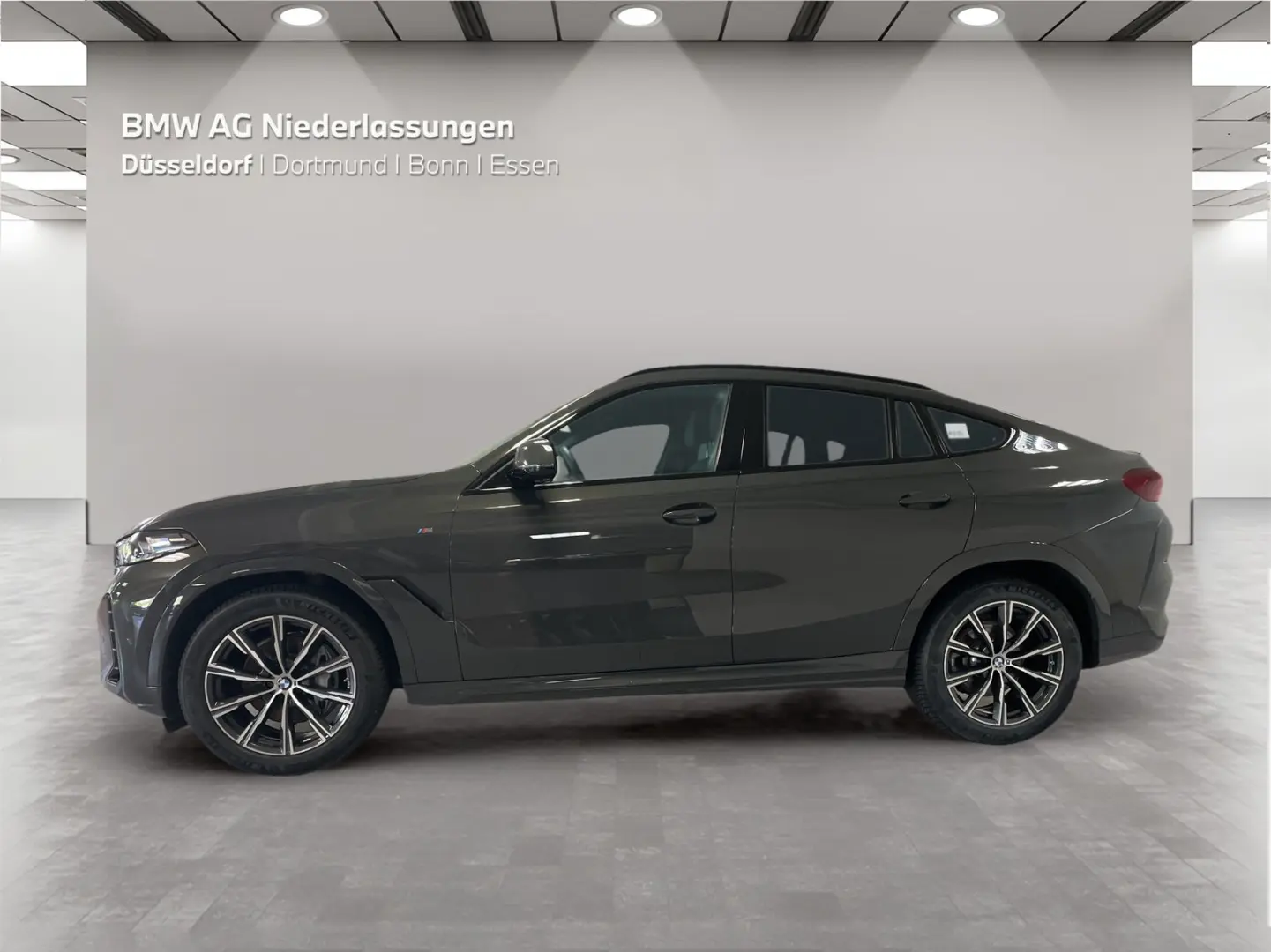 X6 xDrive30d M Sport Standheizung Massage AHK