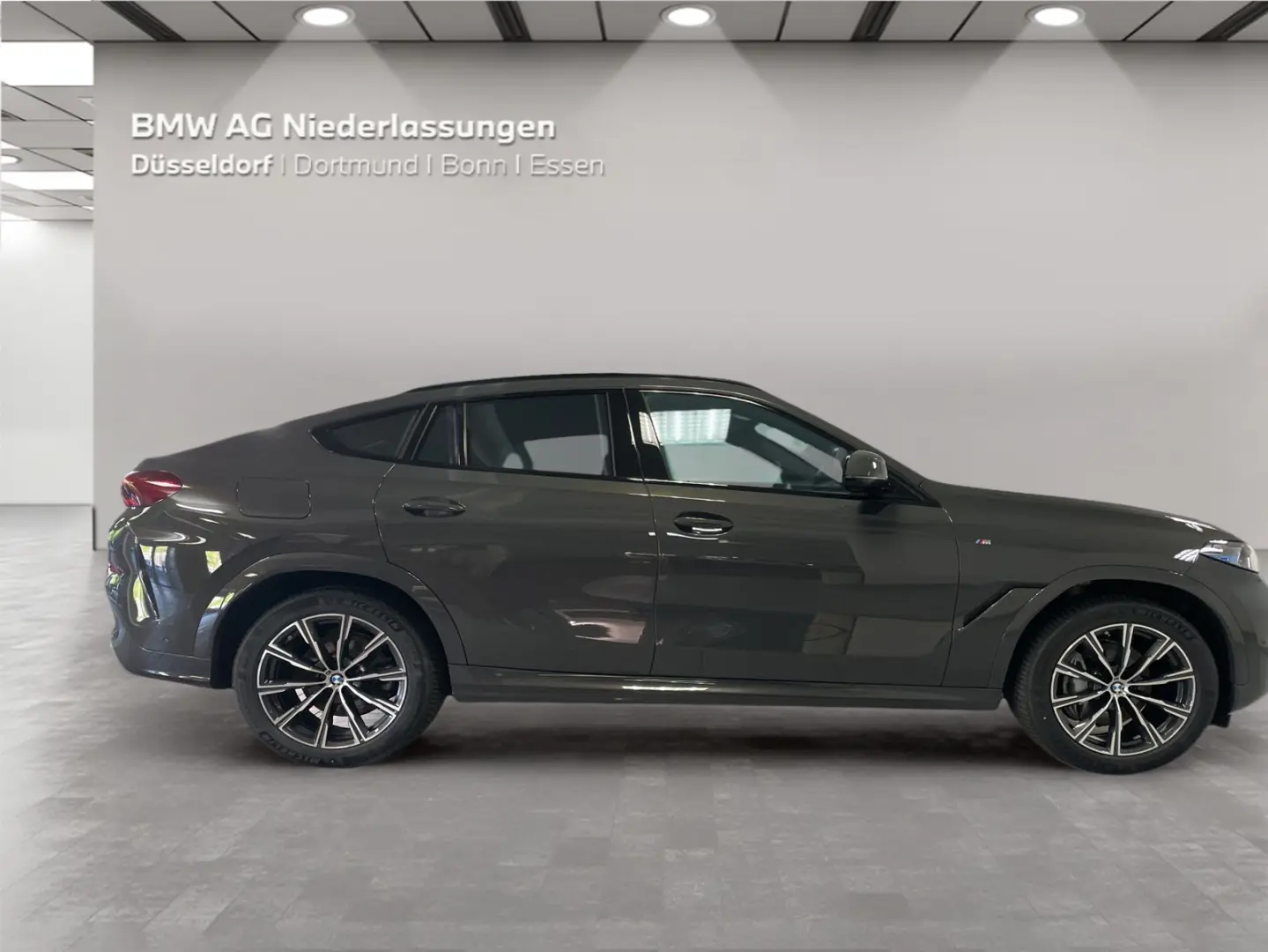 X6 xDrive30d M Sport Standheizung Massage AHK