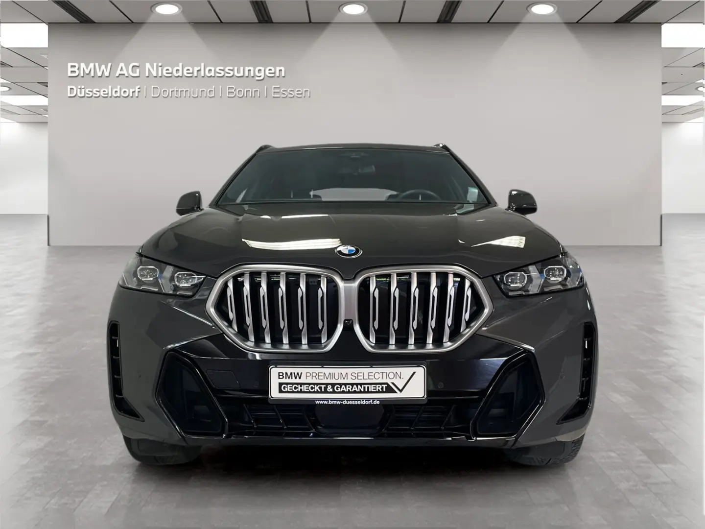 X6 xDrive30d M Sport Standheizung Massage AHK