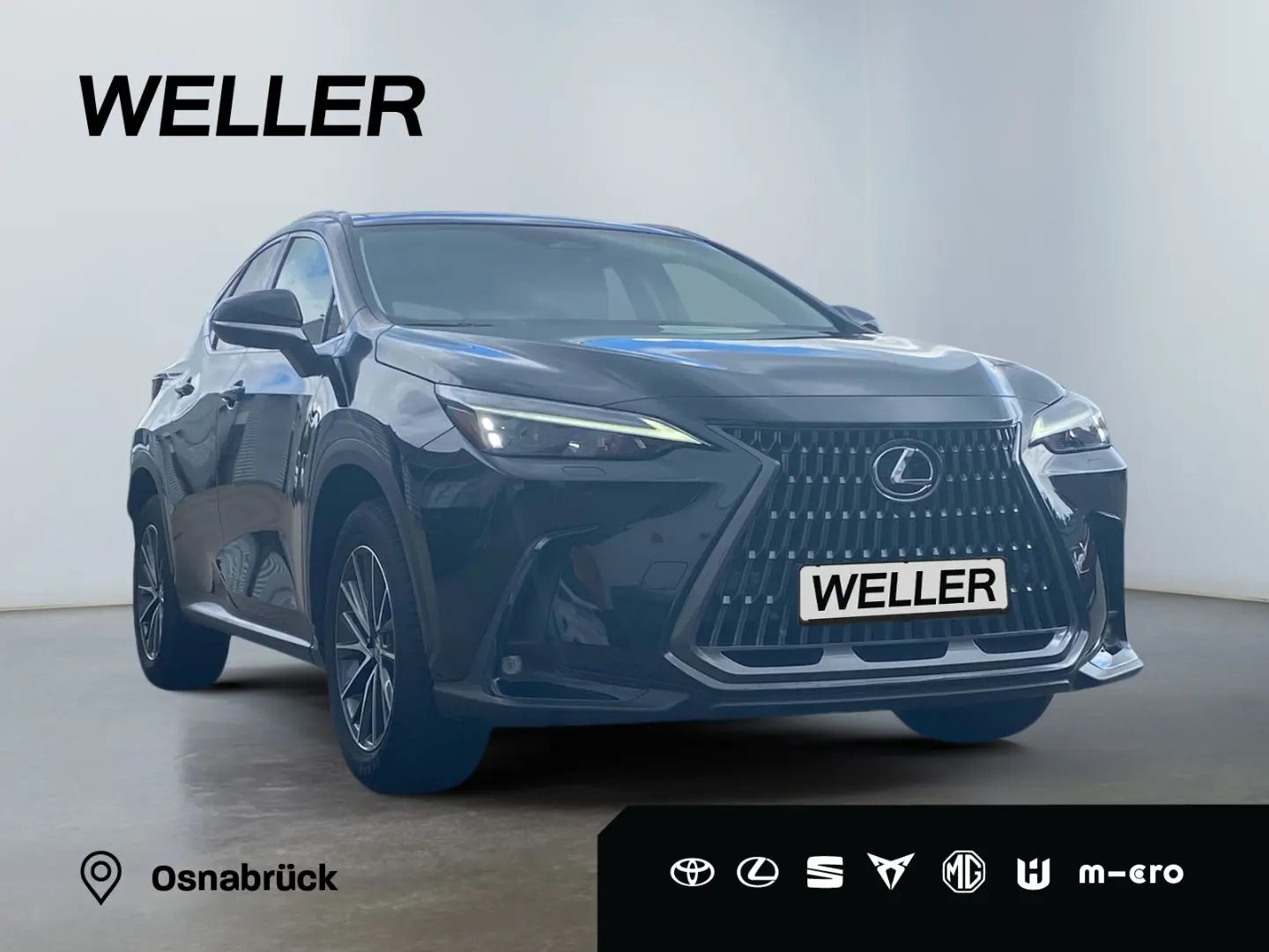 NX 350h Executive Line *Bi-LED*360°*ACC*el Heck*