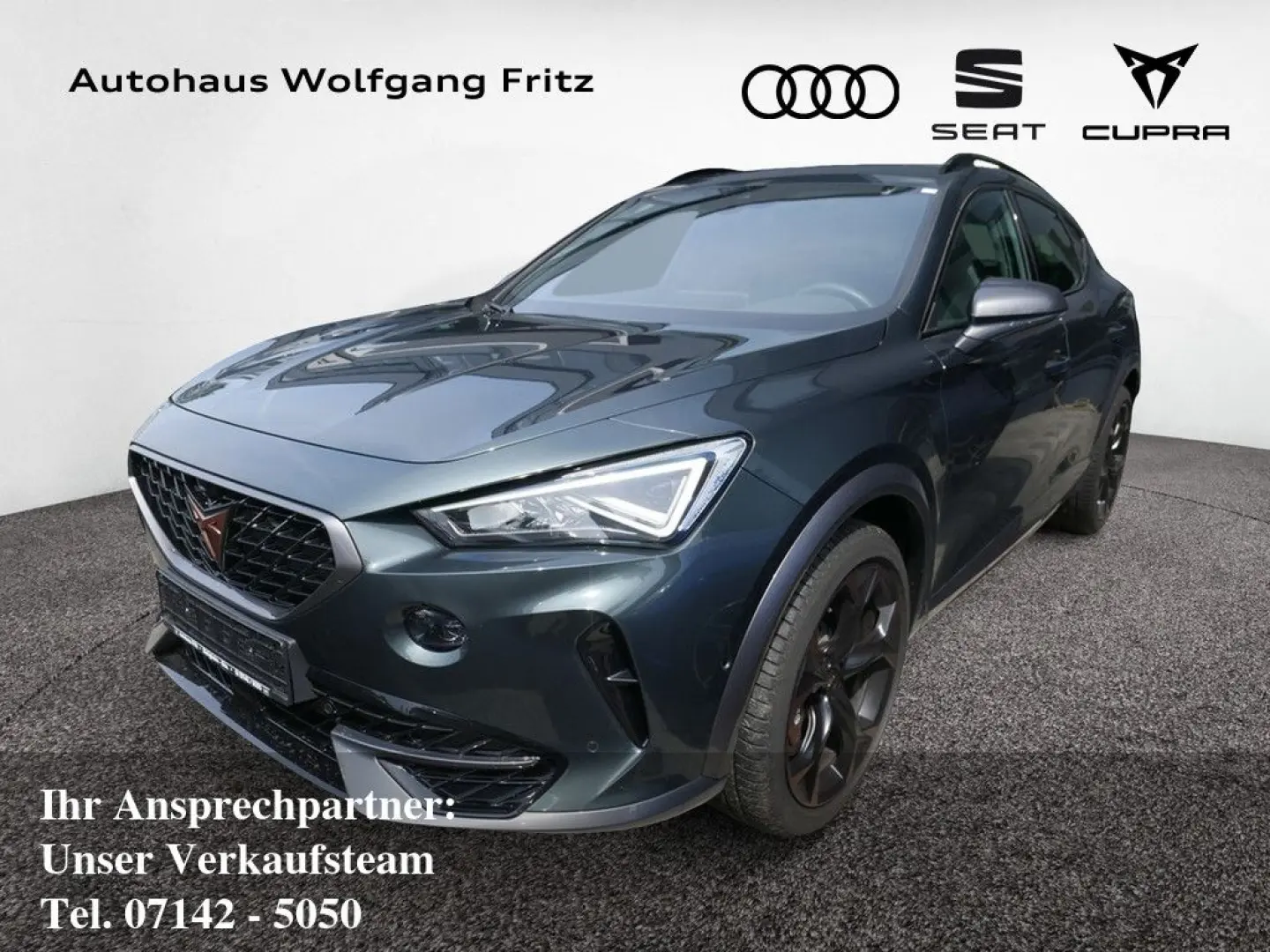 Formentor 2.0 TSI VZ 4Drive DCC AHK ACC LED 360°