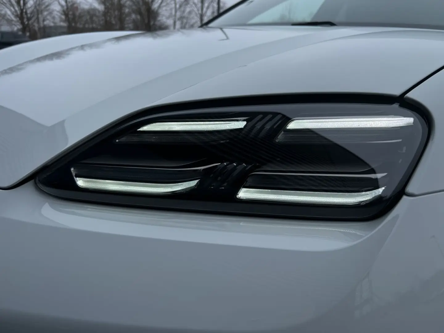 Macan