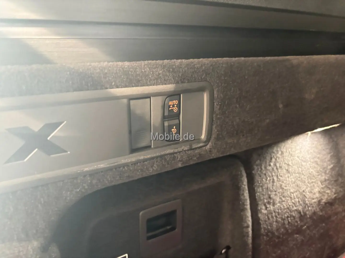 X5 xDrive30d Sport Aut. Komfortsitze Panorama