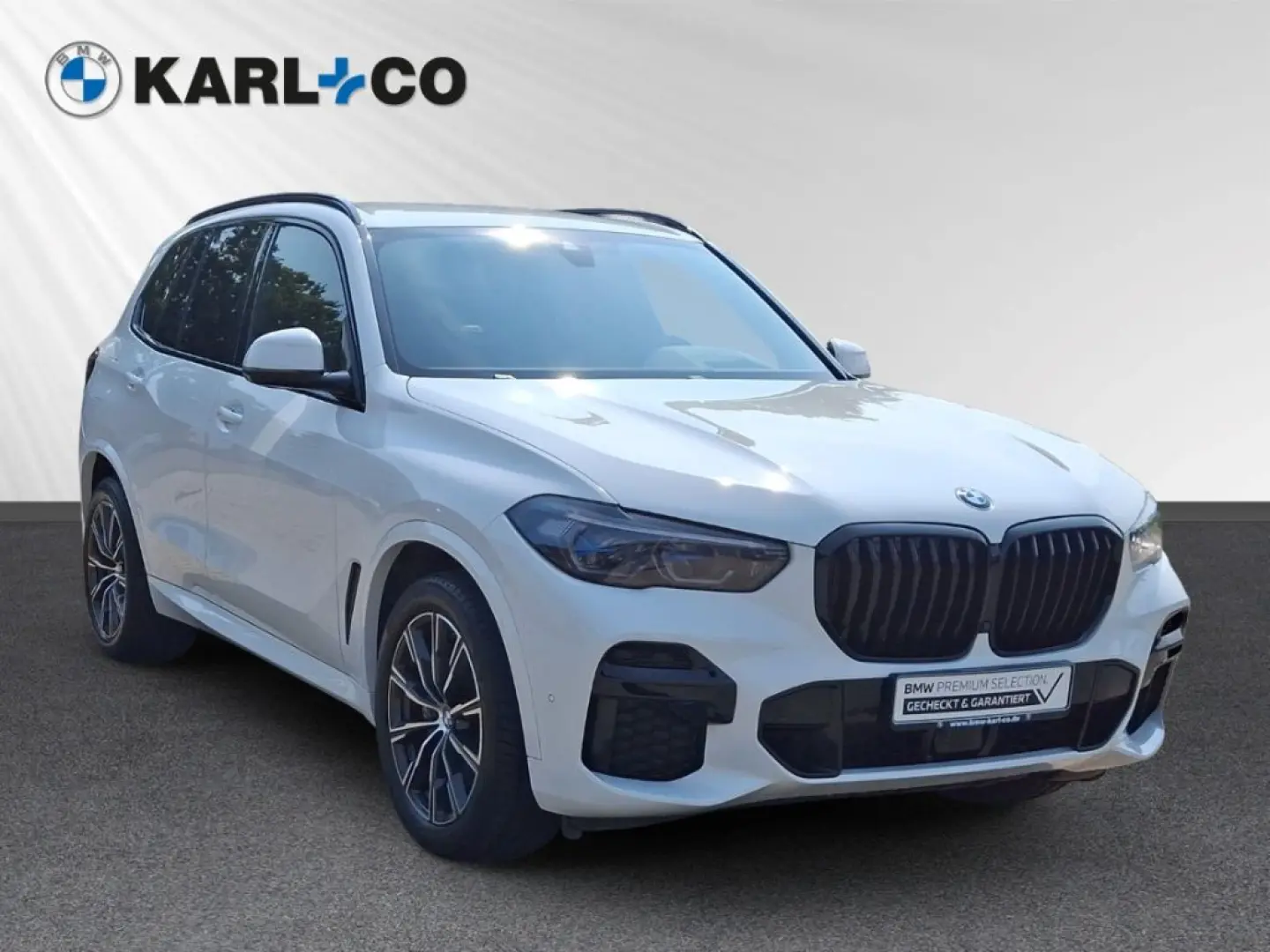 X5 XDRIVE 30D M-Paket Laserlicht Memory Head-Up