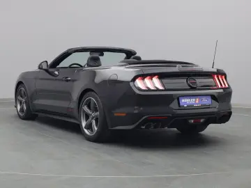 Mustang GT Cabrio V8 California Special/Magne