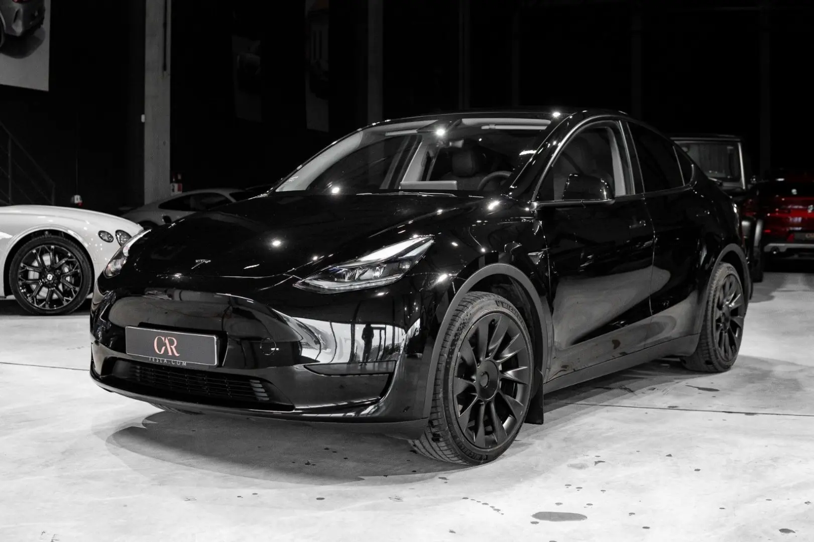 Model Y Basis RWD