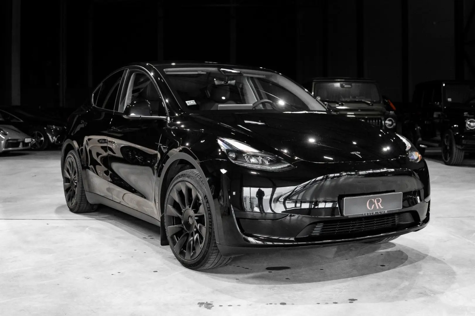 Model Y Basis RWD