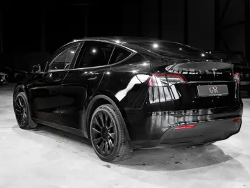 Model Y Basis RWD