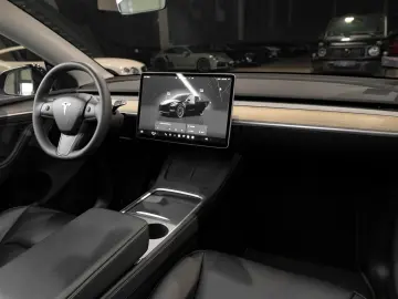 Model Y Basis RWD