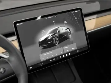 Model Y Basis RWD